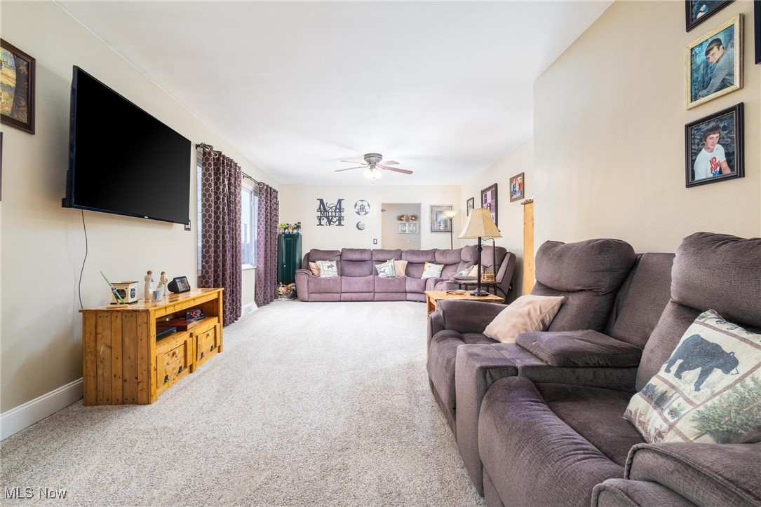 111 Riverview Street, Toronto, Ohio image 10