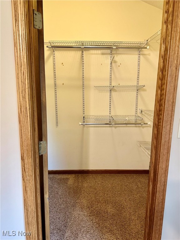 4748 Preserve Drive, Canton, Ohio image 19