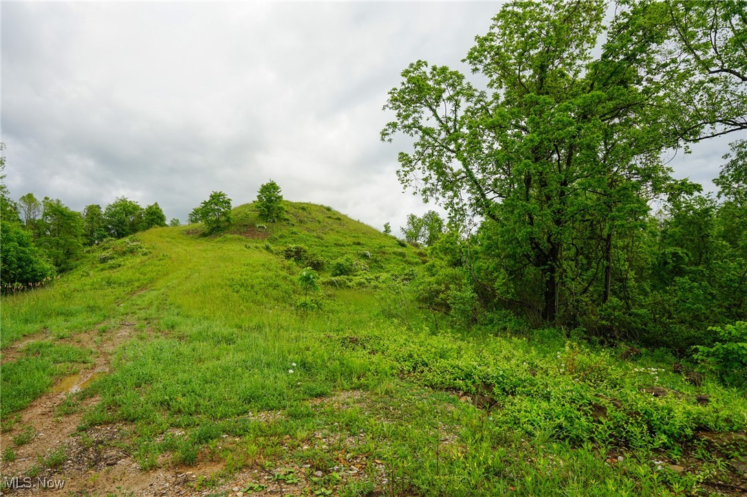 Township Rd 460, Woodsfield, Ohio image 2