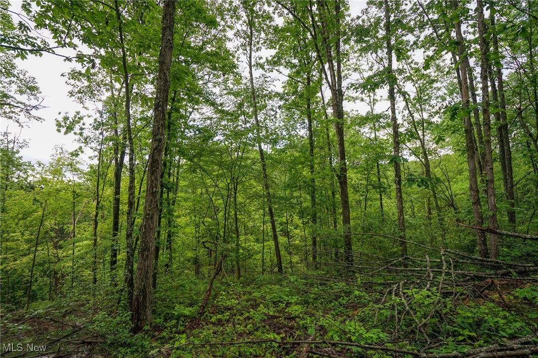 Township Rd 460, Woodsfield, Ohio image 9