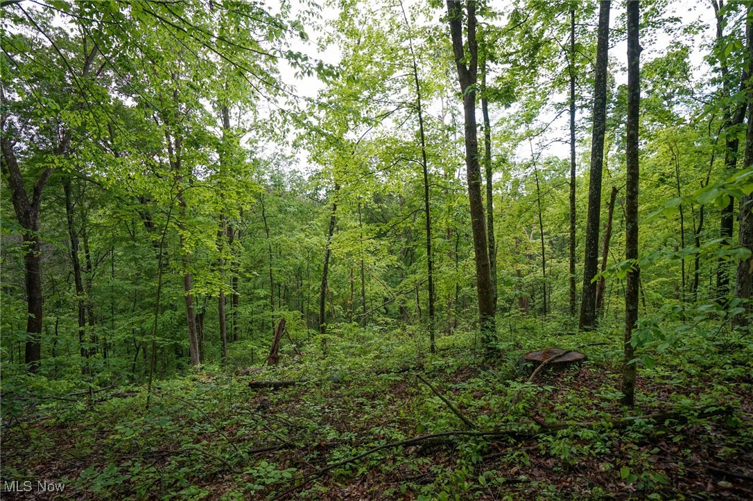 Township Rd 460, Woodsfield, Ohio image 12