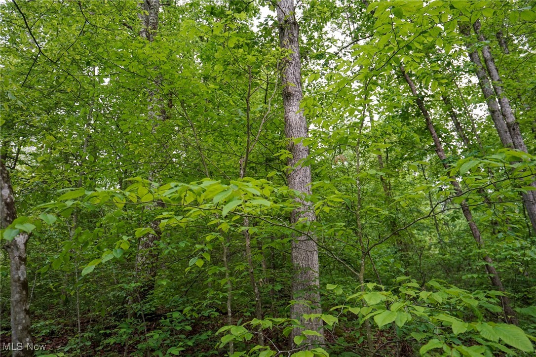 Township Rd 460, Woodsfield, Ohio image 13