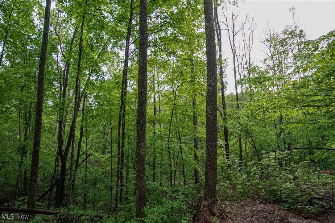 Township Rd 460, Woodsfield, Ohio image 19