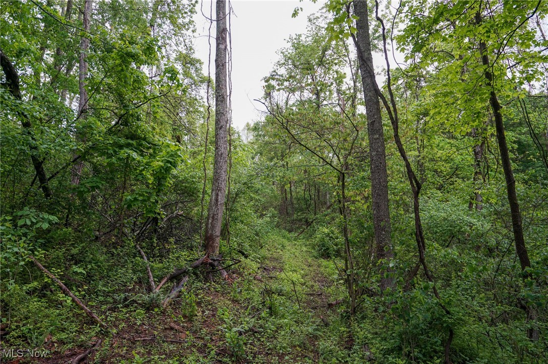 Township Rd 460, Woodsfield, Ohio image 5