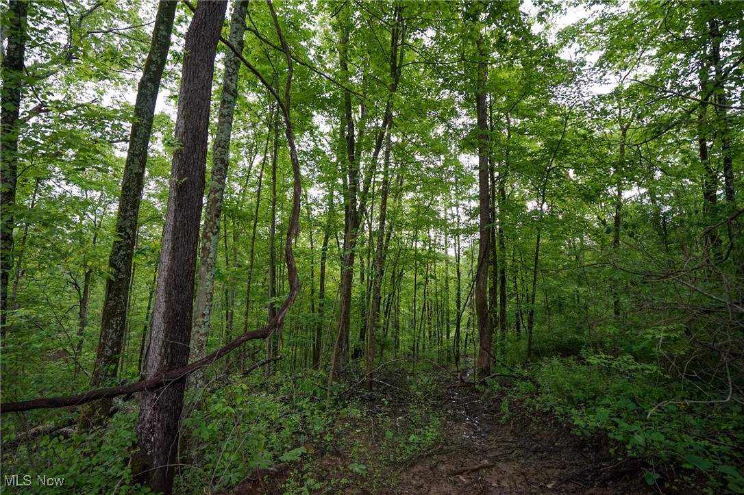 Township Rd 460, Woodsfield, Ohio image 18