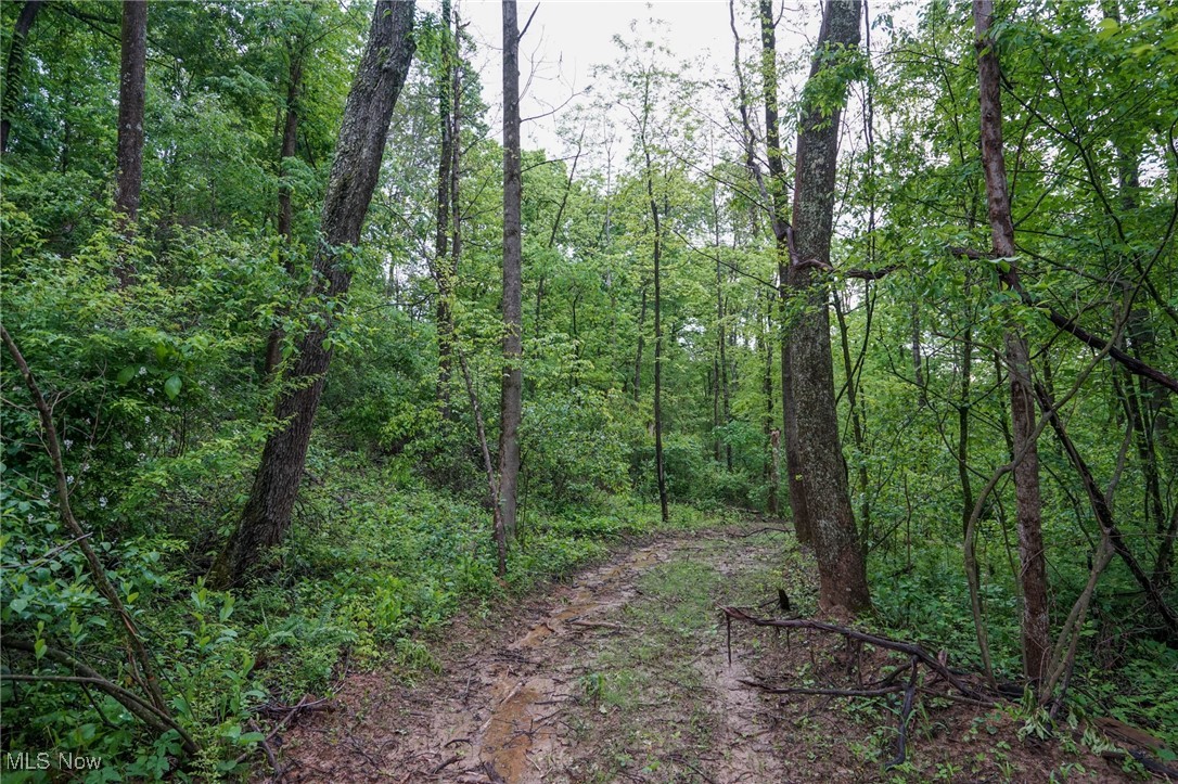 Township Rd 460, Woodsfield, Ohio image 8