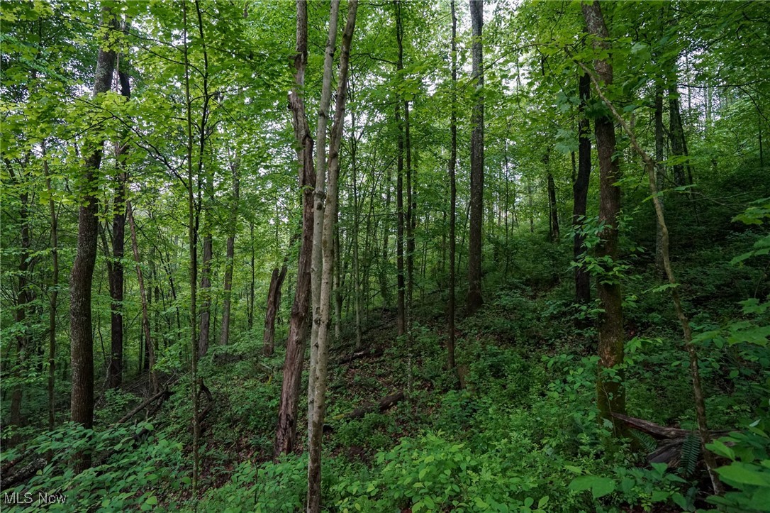 Township Rd 460, Woodsfield, Ohio image 20