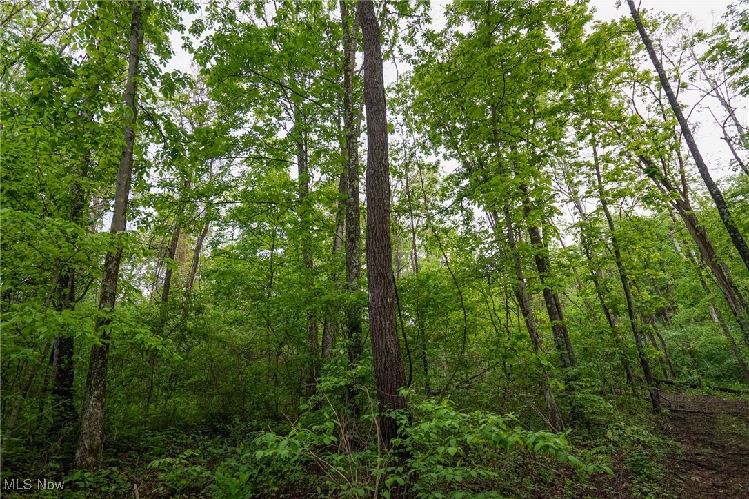 Township Rd 460, Woodsfield, Ohio image 17