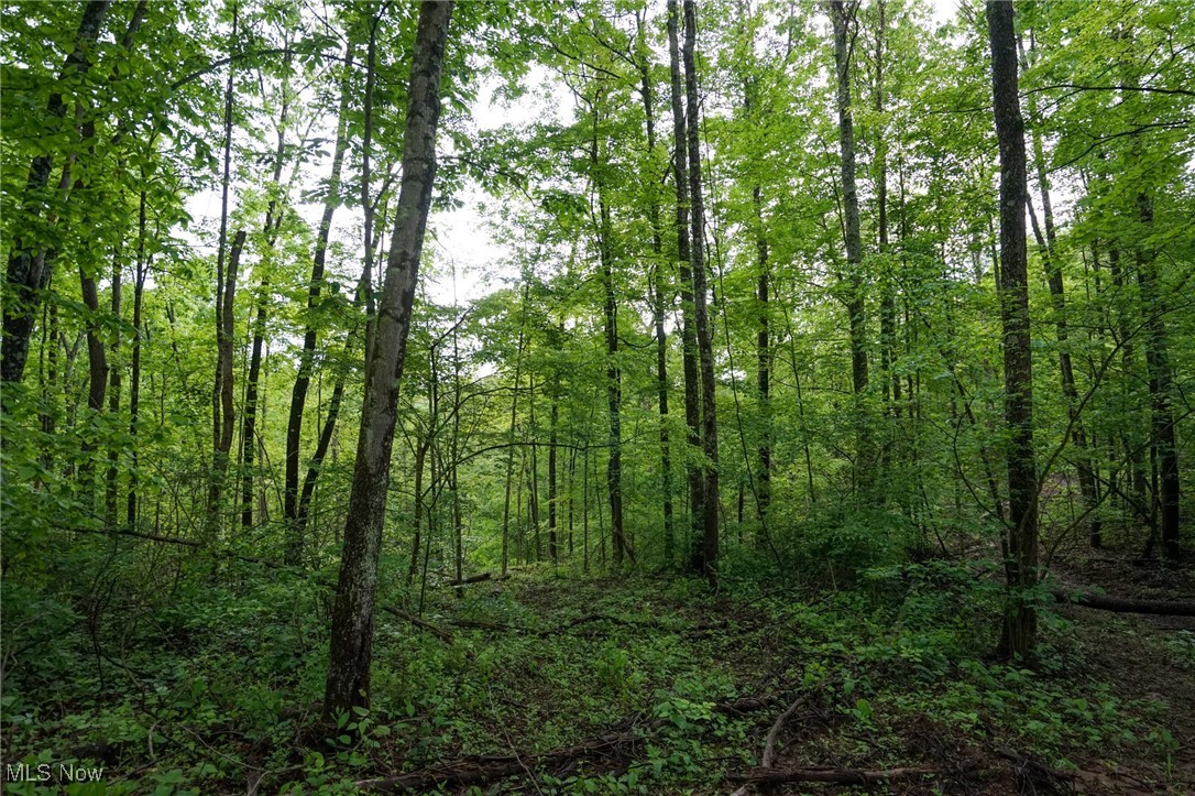 Township Rd 460, Woodsfield, Ohio image 1