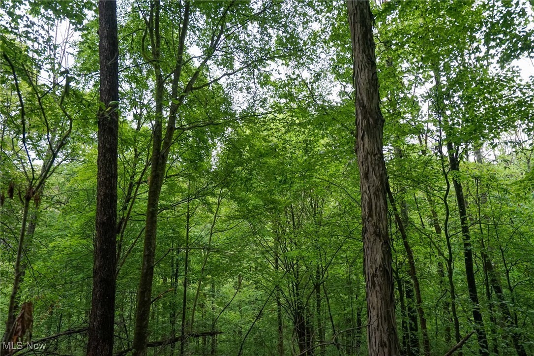 Township Rd 460, Woodsfield, Ohio image 21