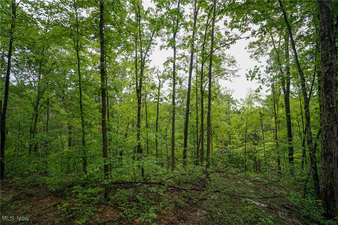 Township Rd 460, Woodsfield, Ohio image 10