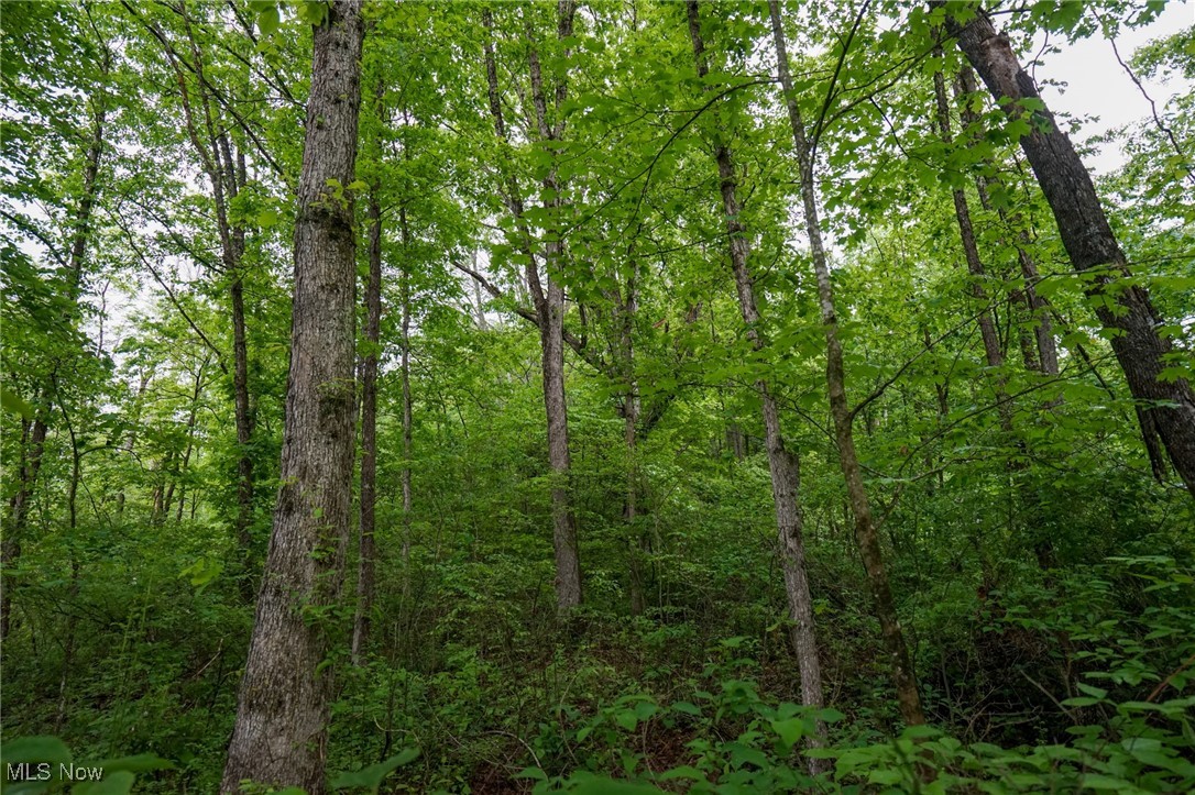 Township Rd 460, Woodsfield, Ohio image 16