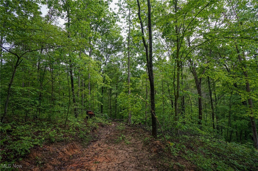 Township Rd 460, Woodsfield, Ohio image 11