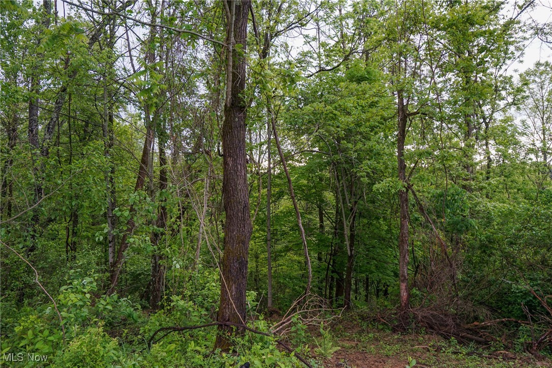 Township Rd 460, Woodsfield, Ohio image 3