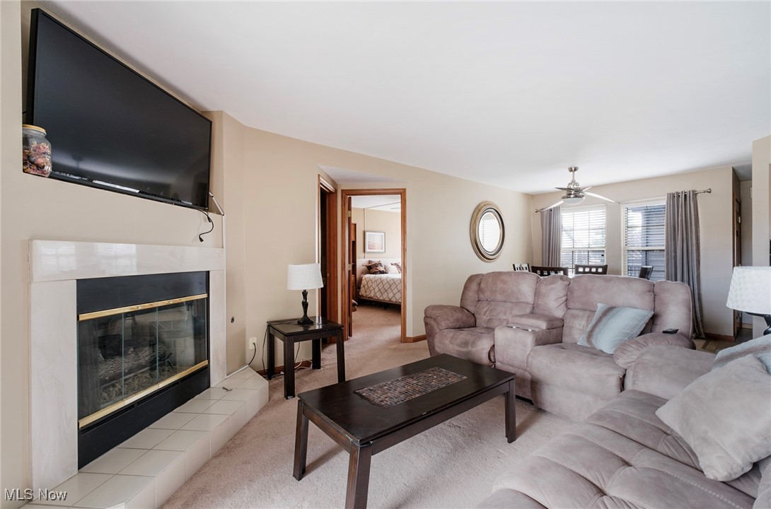 225 N Bayshore Drive #3, Columbiana, Ohio image 11