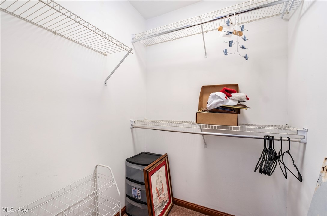 225 N Bayshore Drive #3, Columbiana, Ohio image 28