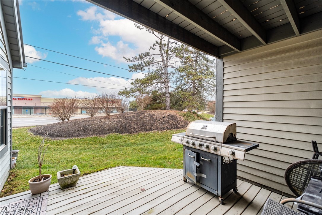 225 N Bayshore Drive #3, Columbiana, Ohio image 32