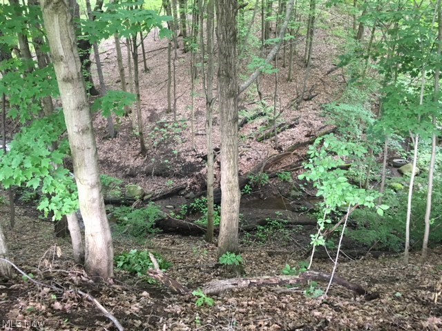 Canfield Township 4th Div - Residential