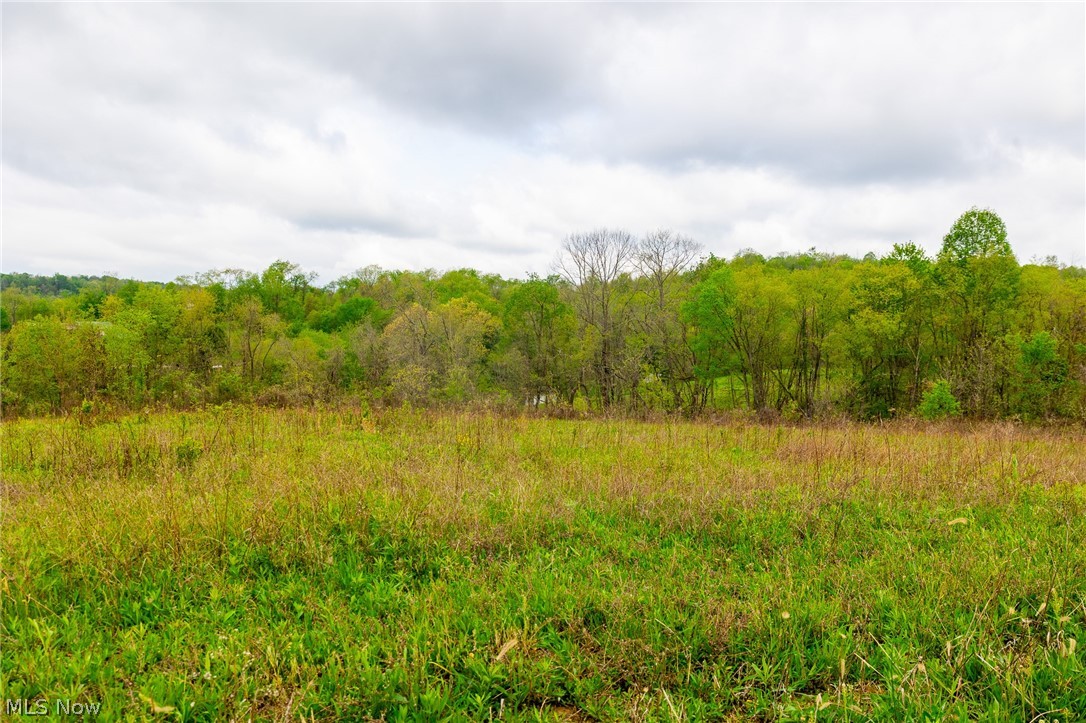 53320 County Road 425