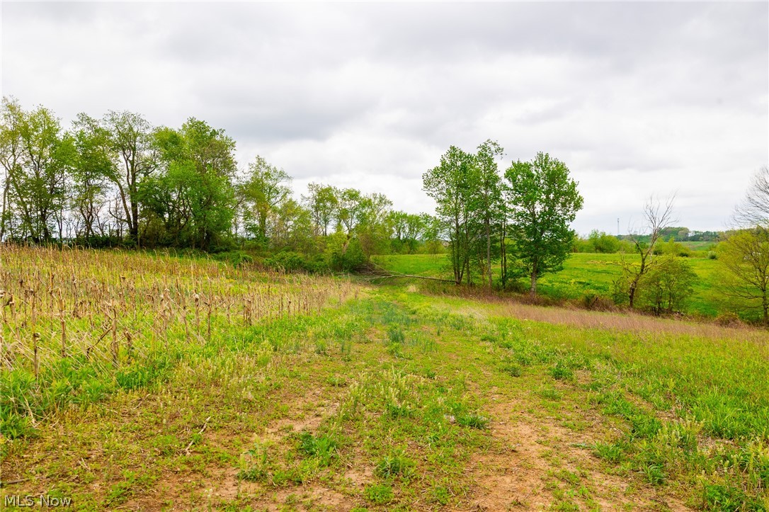 53320 County Road 425