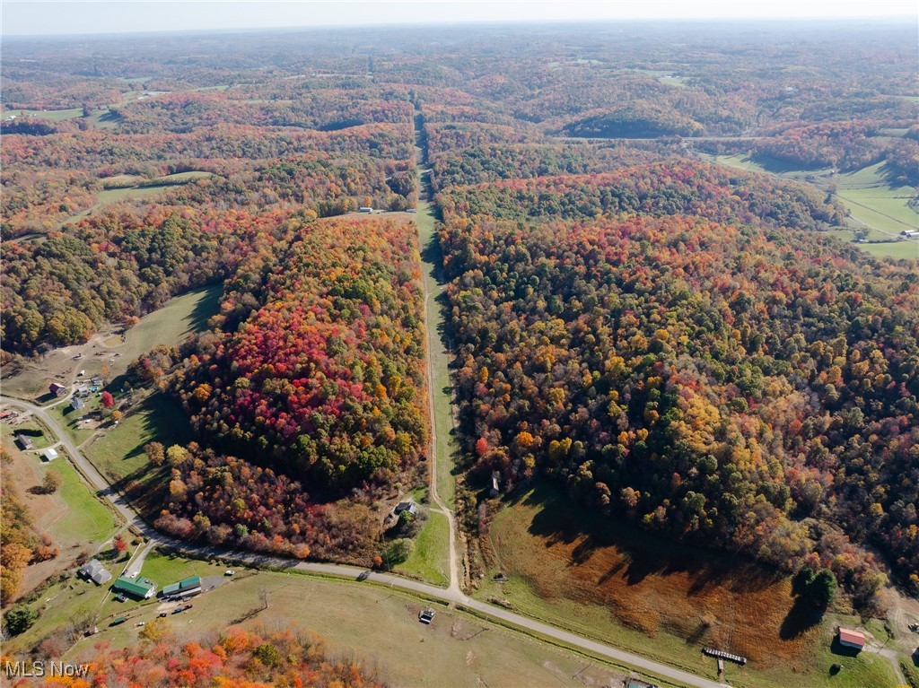 Kedigh Hollow Road, Newcomerstown, Ohio image 7