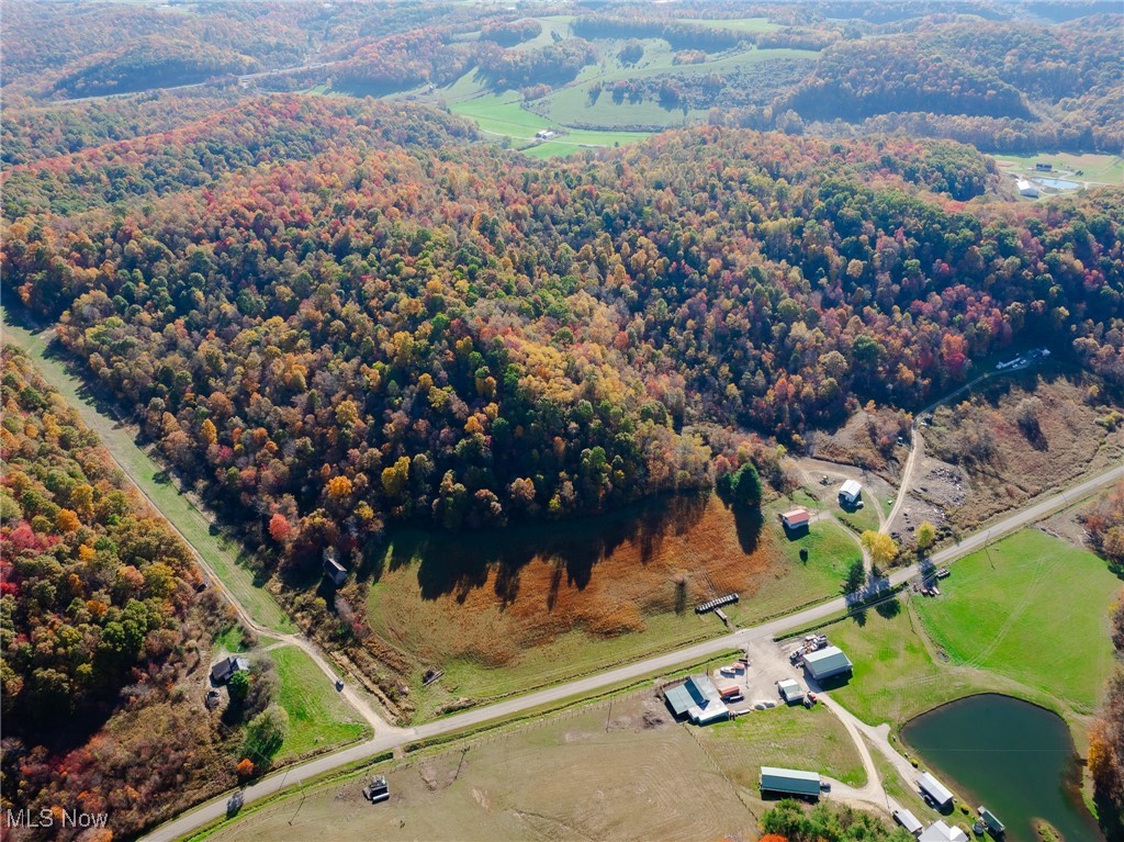 Kedigh Hollow Road, Newcomerstown, Ohio image 8