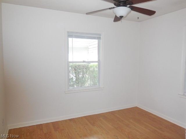 Buena Vista - Residential