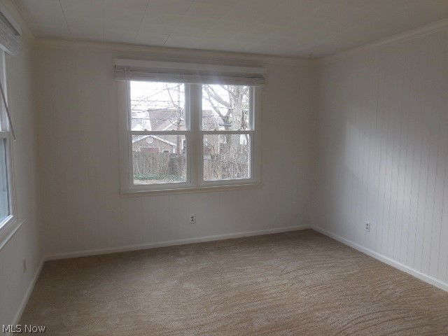 Buena Vista - Residential