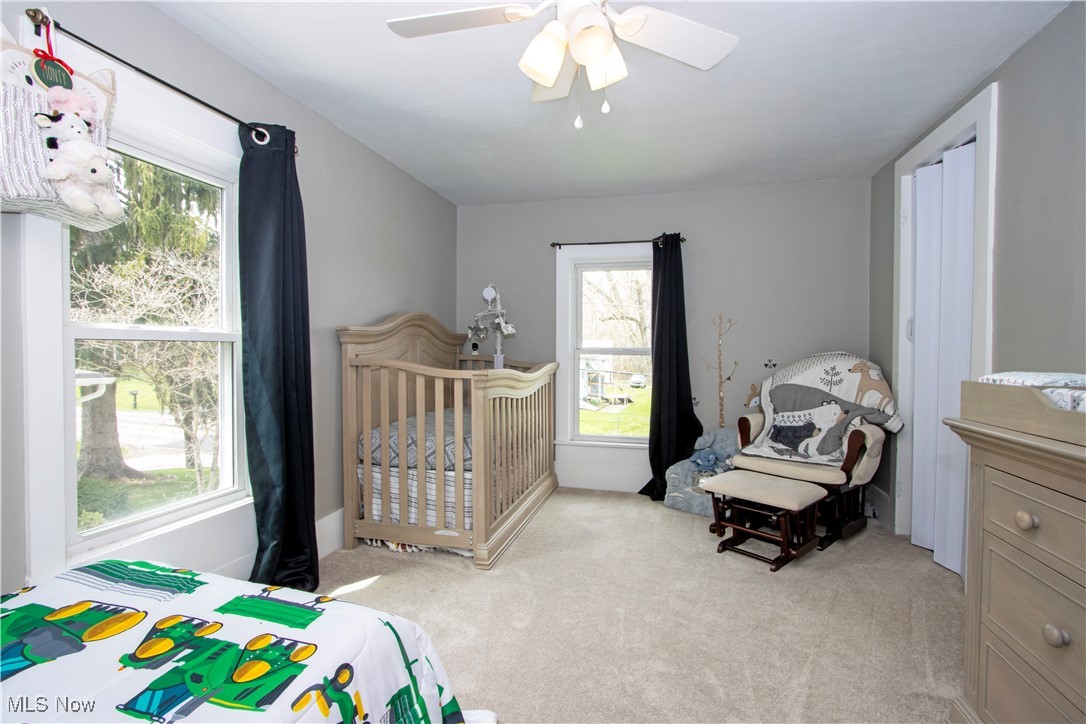 10712 Blachleyville Road, Wooster, Ohio image 21