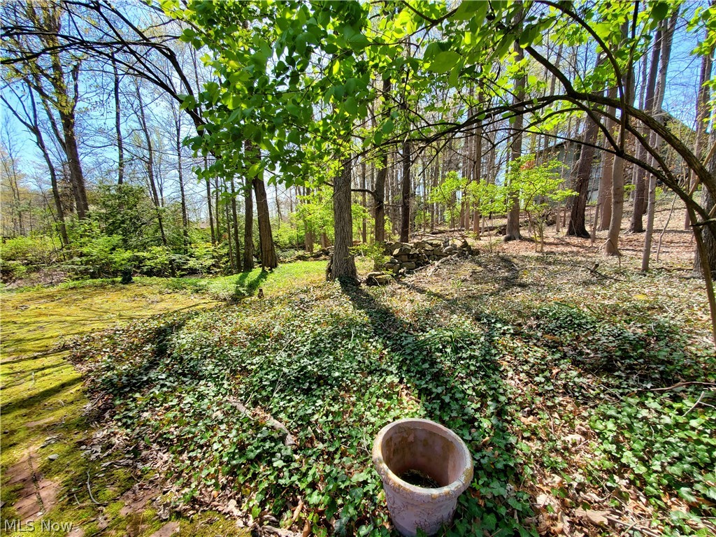 Bradford Village 01 - Residential