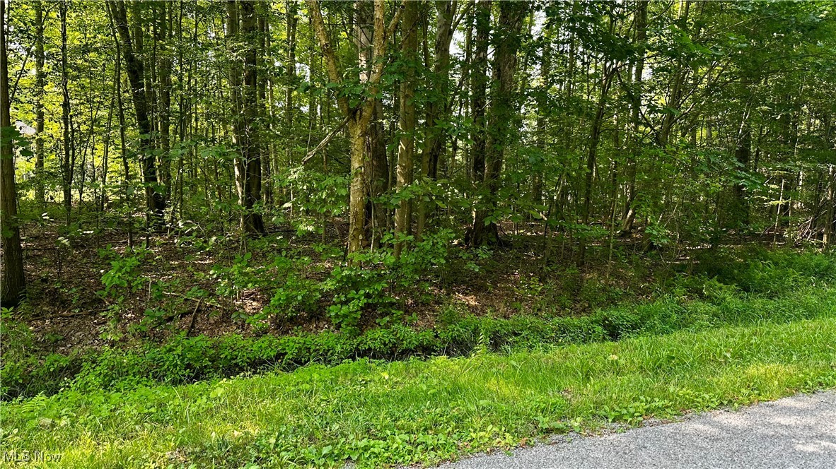 Roaming Shores, Ohio 44084, United States, ,Land,Active,185961