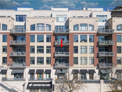 Homes For Sale - 21 Furnace Street #607<br/> Akron, OH 44308