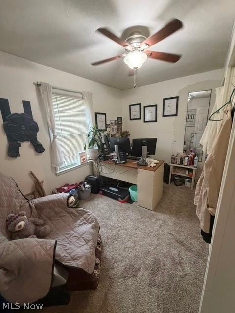 Kimberly Acres - Residential