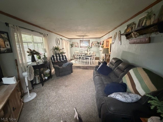 Kimberly Acres - Residential