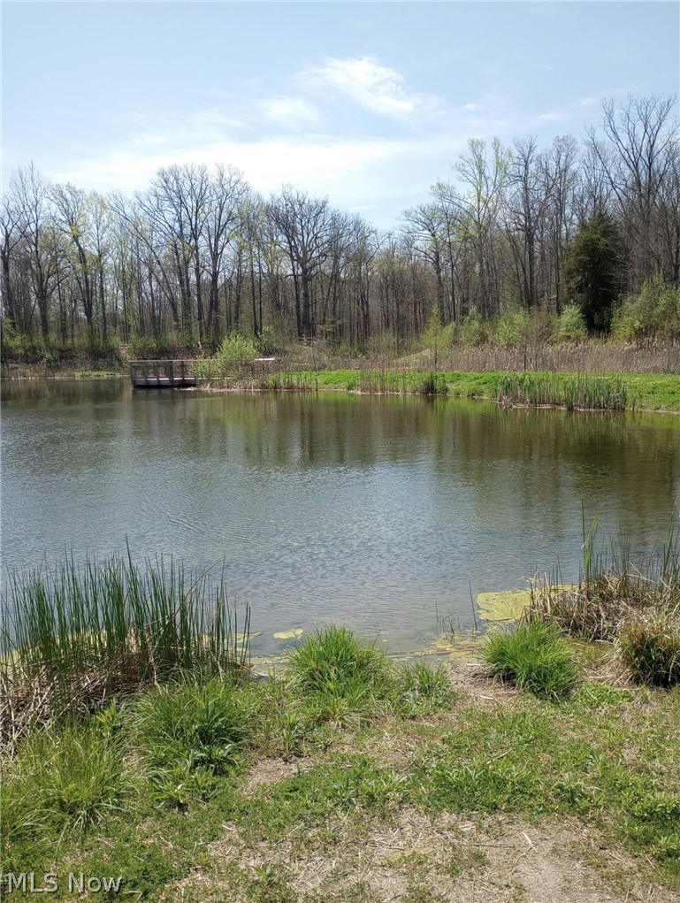 Russia - Residential