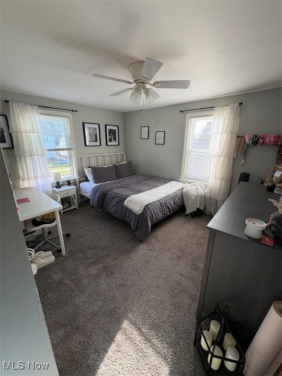 4802 Krueger Avenue, Parma, Ohio image 10