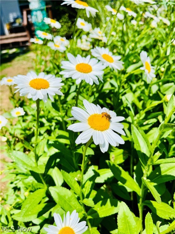 S H Kleinman Realty Cos Roseh - Residential