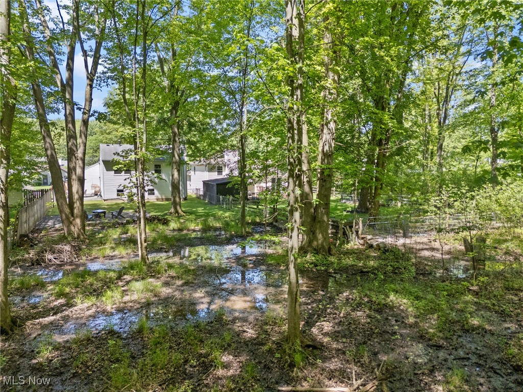 6241 Eastview Avenue, North Ridgeville, Ohio image 48