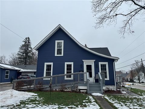 441-443 E Friendship Street, Medina, OH 44256 - #: 5097054