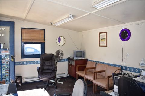 Tiny photo for 5309 N Ridge Road E, Ashtabula, OH 44004 (MLS # 5190987)