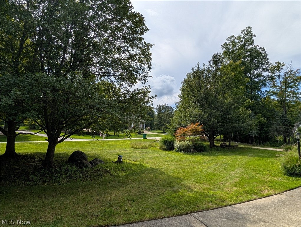 10665 Mount Royal Drive