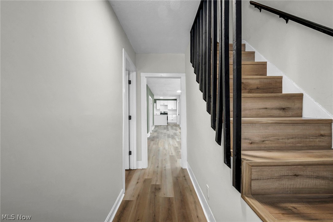 Benedict & Roots Allotment - Residential