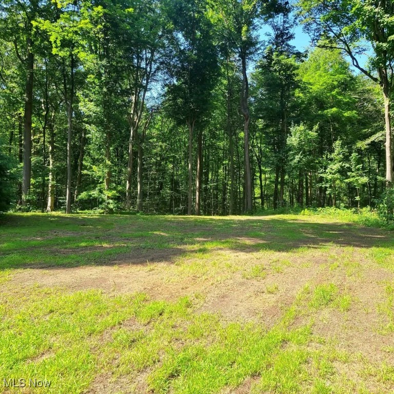 An absolutely beautiful lot surrounded by nature under the canopy of large trees. A ravine in back has a flowing creek directly adjacent to untouchable green space behind the property. Old Mill Rd. is an non through traffic unbelievable gorgeous street that ends with a cul-de-sac.
The lot has been cleared of trees and graded, ready for a homesite using the builder of your choice. Already professionally surveyed with all the corner property pins set.
UTILITIES: City Water, Sanitary and Storm Sewer, Gas, Electric, Phone and Cable TV
AMENITIES INCLUDED: Within walking distance of Bill Stanton Park on the shores of Lake Erie with walking trails, a picnic pavilion and playground. Geneva On the Lake State Park and local wineries are nearby. Close to many retail shops and restaurants.