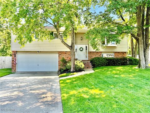 1179 Constitution Drive Brunswick OH 44212