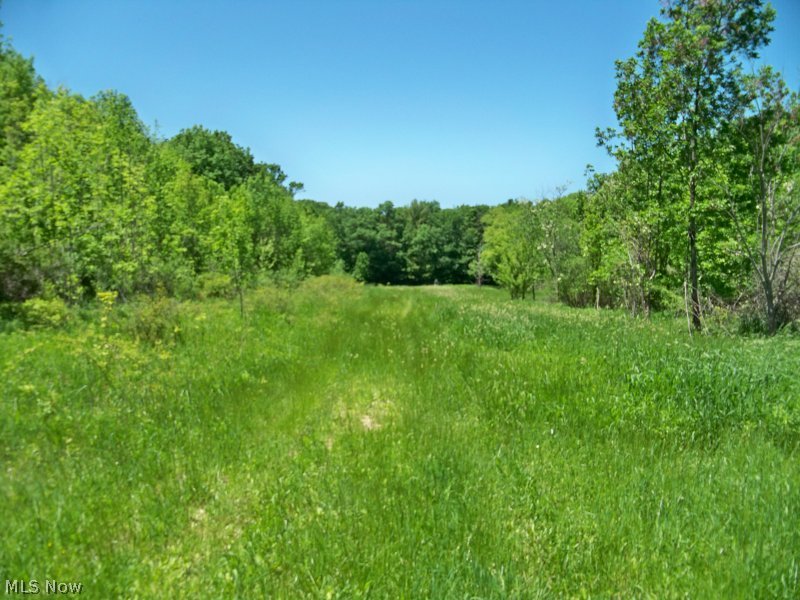 66 Acres, wooded, Camp site with fire ring is 2500 feet from the road. 46 acres designated wood lot under OHIO Forest Tax law 2010-2020 (33% tax reduction). Red Oak, Red Maple, Sugar Maple, Ash, tulip, Beech, Cherry trees on property. 10 Yr forestry plan is now complete. Commercial timber can be harvested after 2020.
2 Gas wells on property produces approx. $77 royalty per month over the past six years. Owner is entitled to 300,000 cu ft annually of free natural gas for a home or pole building. All gas, oil and mineral rights to transfer to buyer.