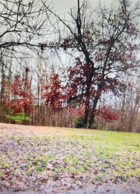 Okey Road, Chandlersville, Ohio image 1