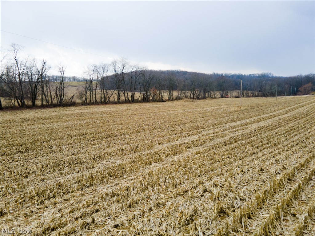 NW State Route 516, Dover, Ohio image 3