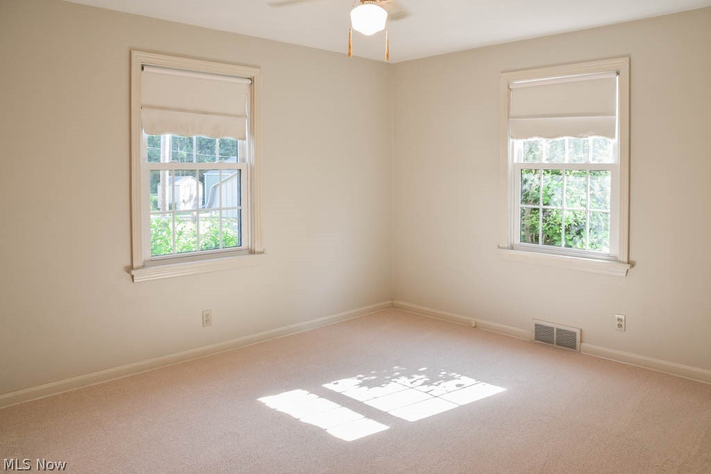 West Avondale Allotment - Residential