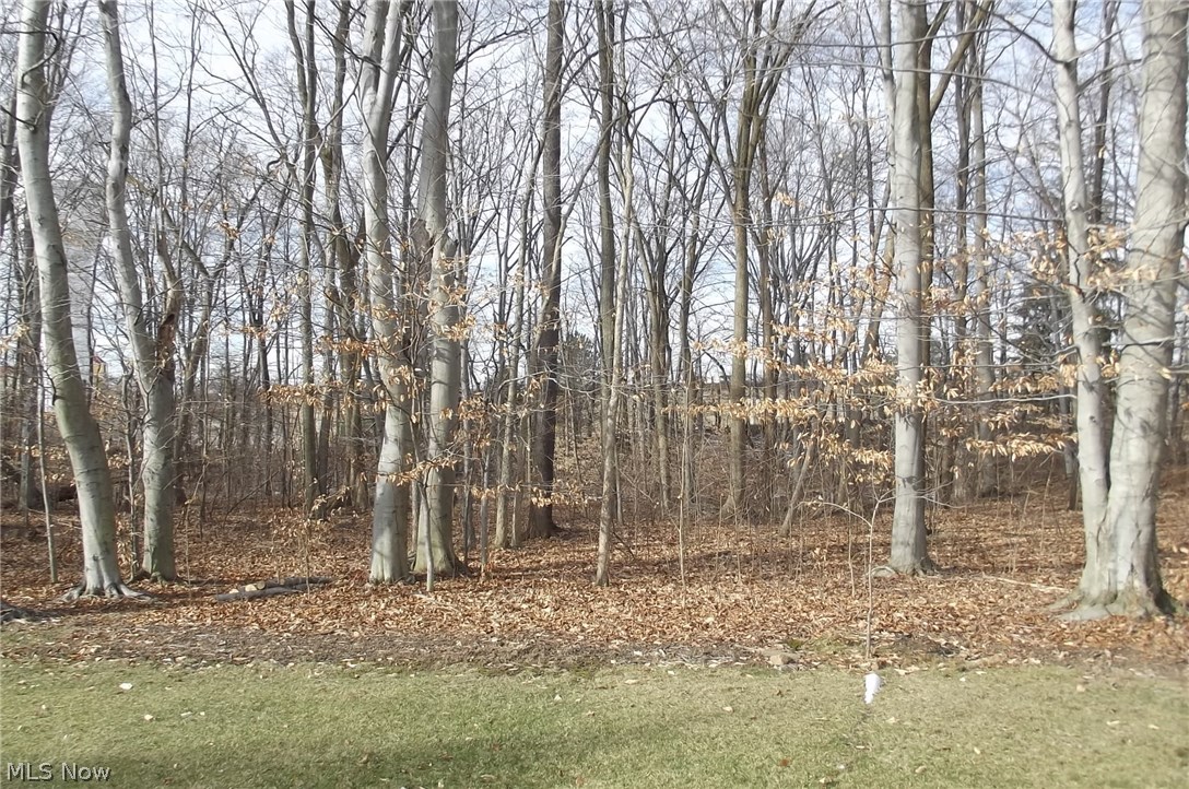 Tanglewood Estates - Residential