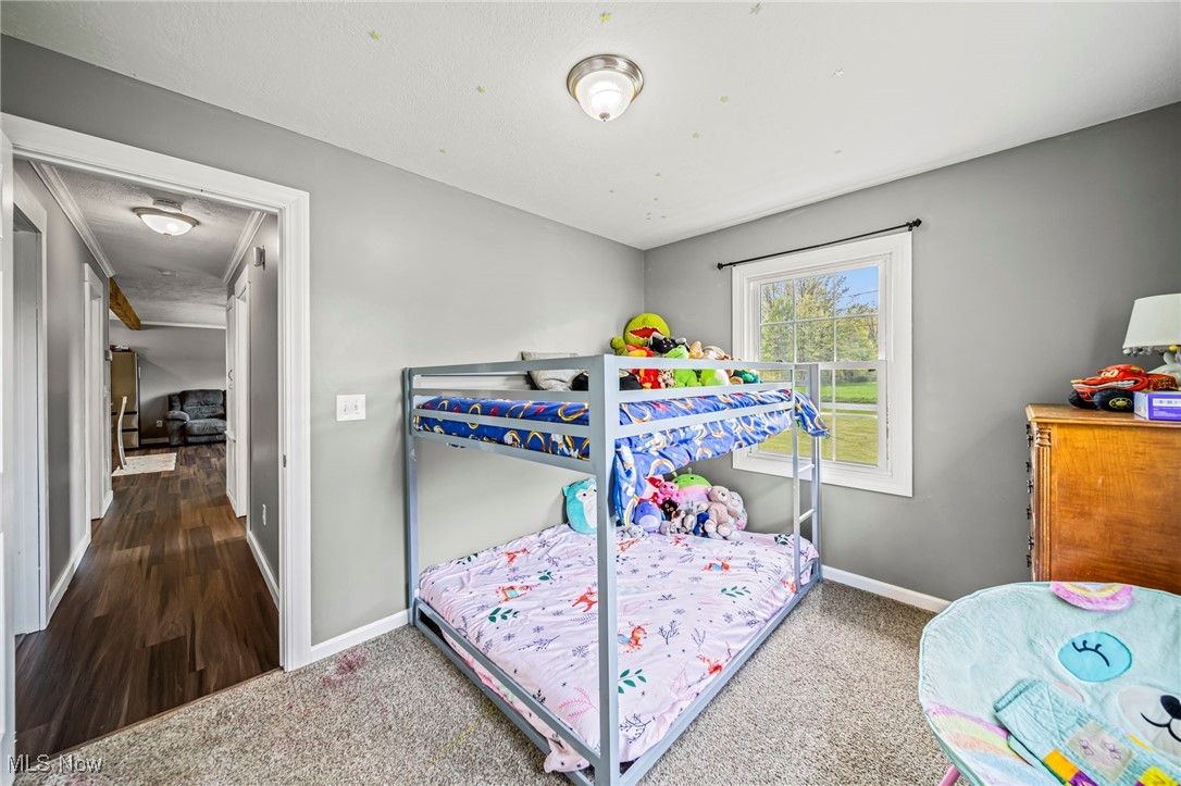 4946 Ireland Road, Rome, Ohio image 29